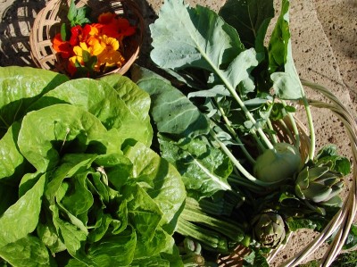 114.JPG (208 KiB) Osservato 599 volte 114.JPG