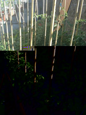 IMG_0771.JPG (196.07 KiB) Osservato 1157 volte IMG_0771.JPG