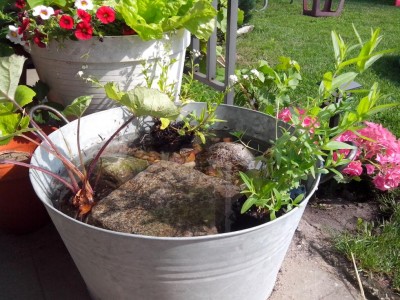 10.06.2016 006.jpg (163.02 KiB) Osservato 527 volte 10.06.2016 006.jpg