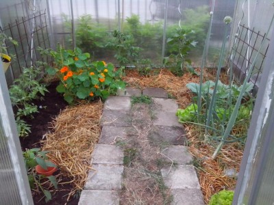 10.06.2016 010.jpg (140.13 KiB) Osservato 527 volte 10.06.2016 010.jpg