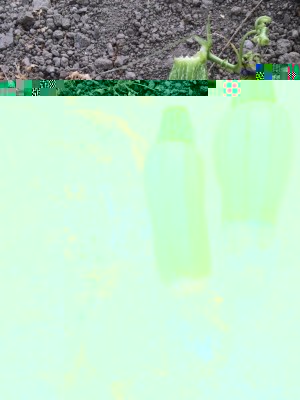 image.jpeg (189.38 KiB) Osservato 528 volte image.jpeg