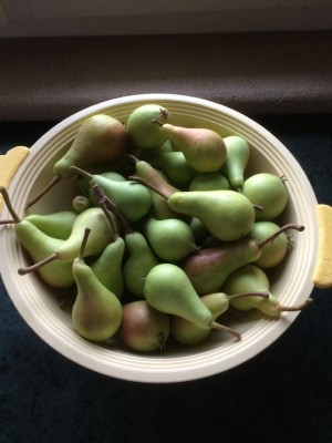 image.jpeg (66.16 KiB) Osservato 557 volte image.jpeg