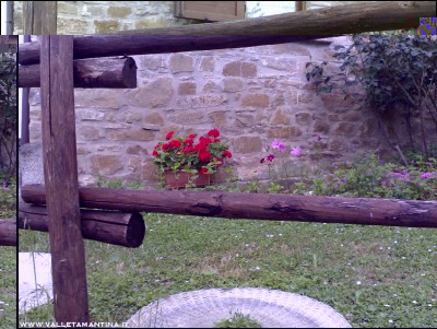 12062016aiuola.jpg (272.74 KiB) Osservato 536 volte 12062016aiuola.jpg