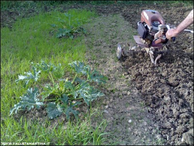 17062016motozappa-orto2.jpg (360.08 KiB) Osservato 535 volte 17062016motozappa-orto2.jpg