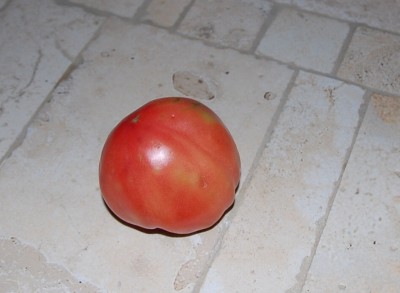 138.JPG (156.04 KiB) Osservato 565 volte 138.JPG