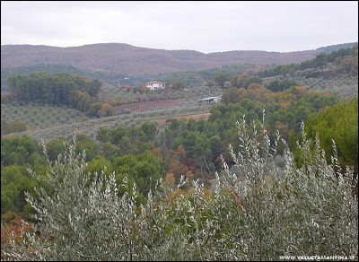 collina-casa.jpg (253.43 KiB) Osservato 584 volte collina-casa.jpg