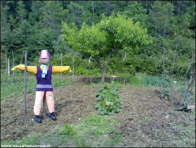 18062016lana.jpg (362.01 KiB) Osservato 583 volte 18062016lana.jpg