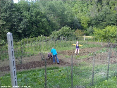 18062016motozappa.jpg (335.29 KiB) Osservato 583 volte 18062016motozappa.jpg