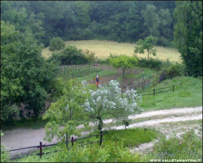 20062016lana-pioggia.jpg (232.55 KiB) Osservato 583 volte 20062016lana-pioggia.jpg