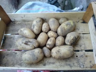 CAM02176 (FILEminimizer).jpg CAM02176 (FILEminimizer).jpg