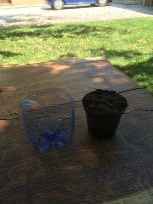 bottiglia ritagliata con vasetto di terriccio / 005.JPG 005.JPG