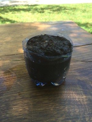 vaso di terriccio dentro fondo bottiglia riempito d'acqua / 006.JPG 006.JPG