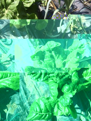 image.jpeg (166.41 KiB) Osservato 439 volte image.jpeg