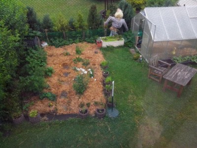 02.07.2016 002.jpg (186.8 KiB) Osservato 476 volte 02.07.2016 002.jpg