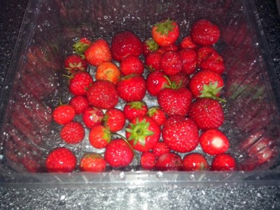 02.07.2016 005.jpg (120.92 KiB) Osservato 622 volte 02.07.2016 005.jpg