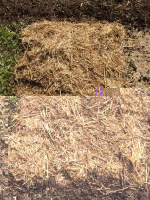 image.jpeg (279.59 KiB) Osservato 384 volte image.jpeg