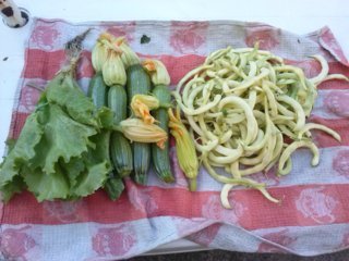 CAM02258 (FILEminimizer).jpg CAM02258 (FILEminimizer).jpg