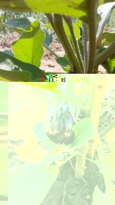 IMG_20160709_141021.jpg (90.19 KiB) Osservato 434 volte IMG_20160709_141021.jpg