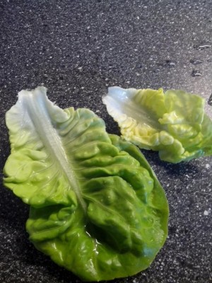 10.07.2016 005.jpg (125.43 KiB) Osservato 794 volte 10.07.2016 005.jpg