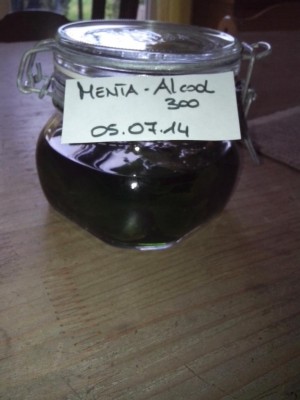 07.07.2016 001.jpg (60.14 KiB) Osservato 812 volte 07.07.2016 001.jpg