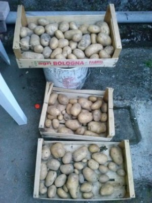 CAM02294 (FILEminimizer).jpg (36.14 KiB) Osservato 503 volte CAM02294 (FILEminimizer).jpg