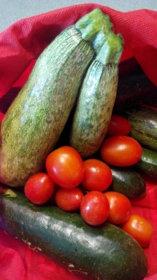 IMG_20160714_155953.jpg (93.13 KiB) Osservato 386 volte IMG_20160714_155953.jpg