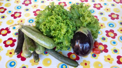 Raccolto di oggi / IMG_20160718_082536.jpg IMG_20160718_082536.jpg