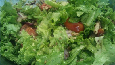 IMG_20160718_201255.jpg (87.76 KiB) Osservato 459 volte IMG_20160718_201255.jpg