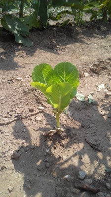 IMG_20160721_144612.jpg (108.79 KiB) Osservato 424 volte IMG_20160721_144612.jpg