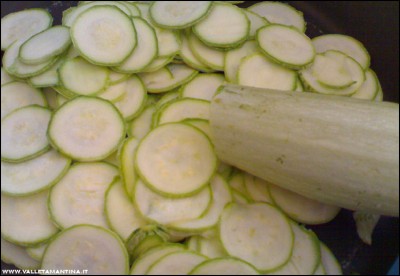 23062016zucchine.jpg (166.44 KiB) Osservato 552 volte 23062016zucchine.jpg