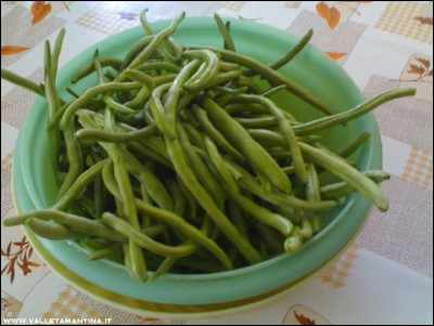29062016fagiolini-rampicanti.jpg (169.93 KiB) Osservato 552 volte 29062016fagiolini-rampicanti.jpg