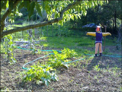 30062016disordine-orto.jpg (383.43 KiB) Osservato 597 volte 30062016disordine-orto.jpg