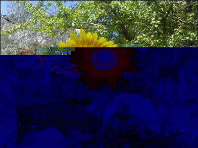 04072016girasole.jpg (398.06 KiB) Osservato 589 volte 04072016girasole.jpg