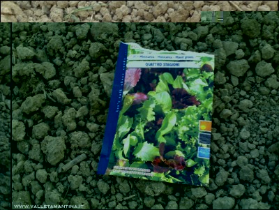 11072016misticanza.jpg (258.42 KiB) Osservato 581 volte 11072016misticanza.jpg