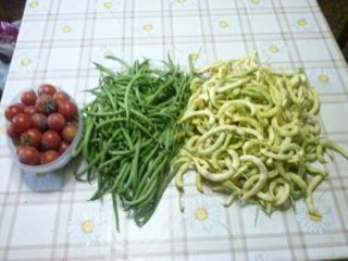 CAM02329 (FILEminimizer).jpg CAM02329 (FILEminimizer).jpg