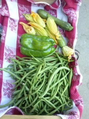 CAM02323-001 (FILEminimizer).jpg (43.07 KiB) Osservato 609 volte CAM02323-001 (FILEminimizer).jpg