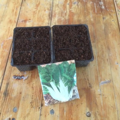 image.jpeg (120.74 KiB) Osservato 478 volte image.jpeg