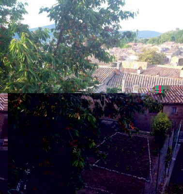 Una vista suggestiva del nostro ciliegio nei primi giorni di giugno con sulla destra le piantine dell'orto appena trapiantate / 13908970_10210121623422893_7718681935689660616_o.jpg 13908970_10210121623422893_7718681935689660616_o.jpg