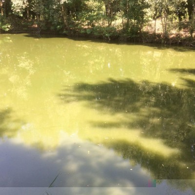 Laghetto / image.jpeg image.jpeg