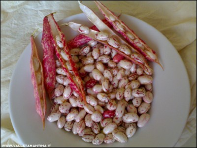 13072016borlotti-carmen.jpg (182.9 KiB) Osservato 561 volte 13072016borlotti-carmen.jpg