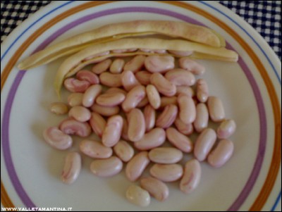 13072016borlotti-alessio.jpg (150.11 KiB) Osservato 561 volte 13072016borlotti-alessio.jpg