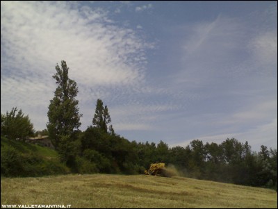 13072016trebbiatura-farro2.jpg (141.39 KiB) Osservato 556 volte 13072016trebbiatura-farro2.jpg