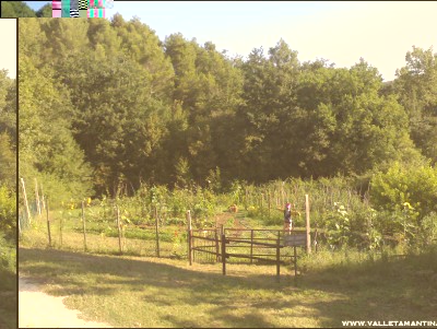 17072016panoramica-orto.jpg (271.18 KiB) Osservato 654 volte 17072016panoramica-orto.jpg