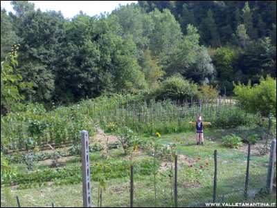 23072016orto-panoramica.jpg (346.83 KiB) Osservato 654 volte 23072016orto-panoramica.jpg