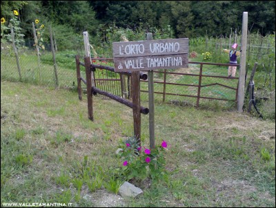 23072016orto3.jpg (299.72 KiB) Osservato 654 volte 23072016orto3.jpg