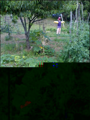 23072016zucca-collo-oca2.jpg (347.75 KiB) Osservato 648 volte 23072016zucca-collo-oca2.jpg