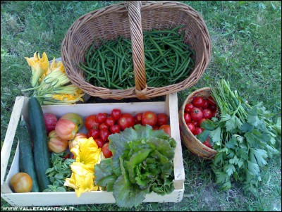 23072016raccolto.jpg (340.22 KiB) Osservato 647 volte 23072016raccolto.jpg