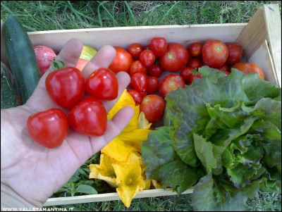 23072016raccolto2.jpg (227.87 KiB) Osservato 647 volte 23072016raccolto2.jpg