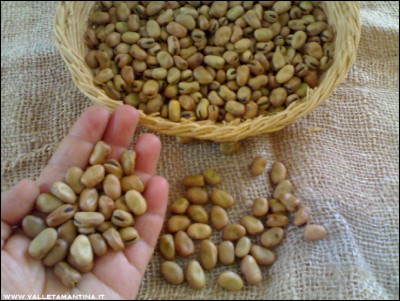 23072016favette.jpg (264.46 KiB) Osservato 647 volte 23072016favette.jpg