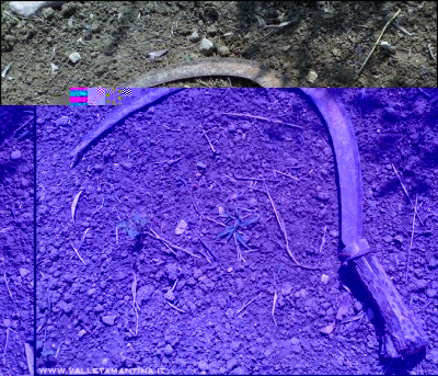 24072016falce.jpg (370.07 KiB) Osservato 647 volte 24072016falce.jpg